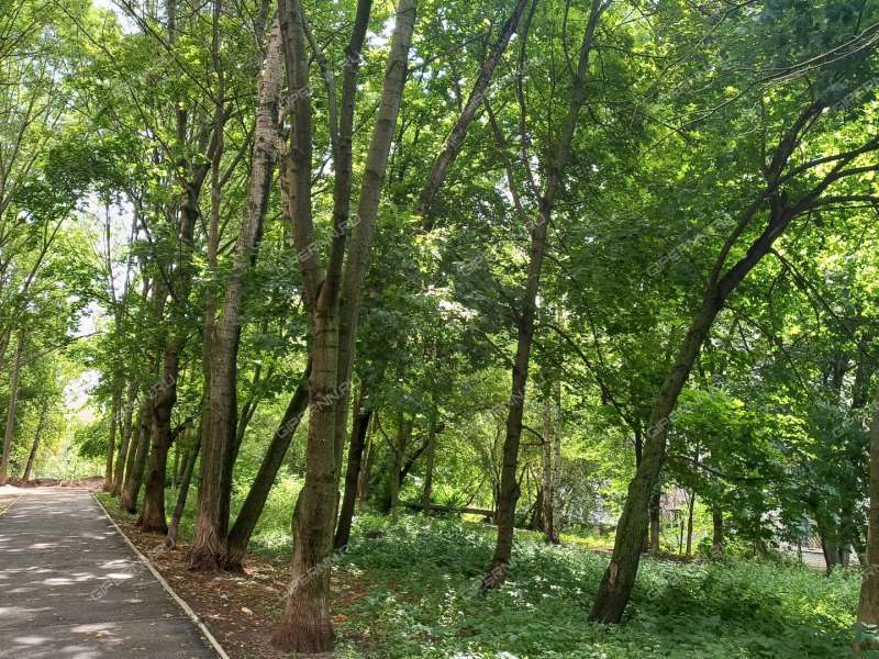 трёхкомнатная квартира на улице Героя Советского Союза Усилова дом 1 к4