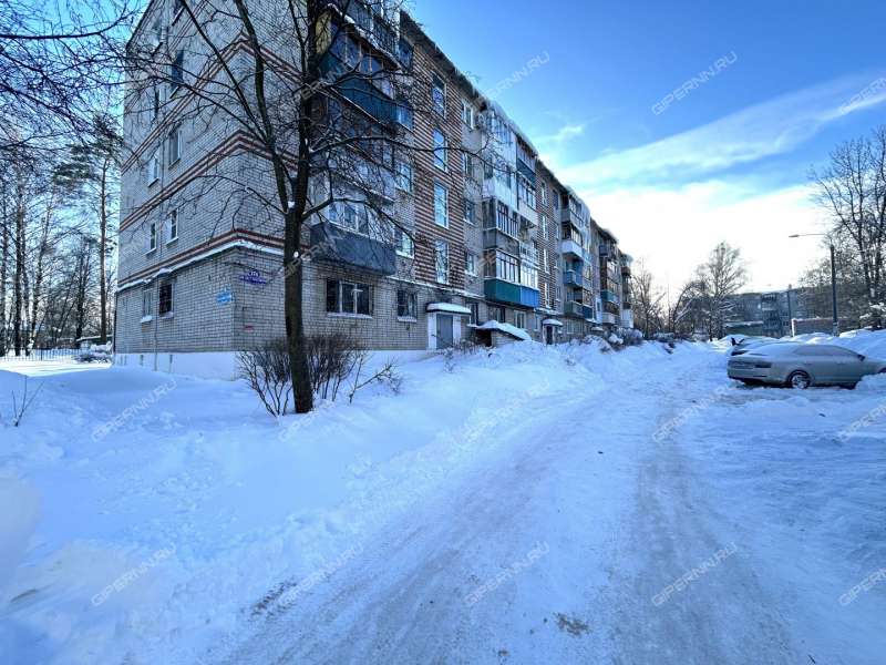 однокомнатная квартира на улице 40 лет Октября дом 17б город Кстово