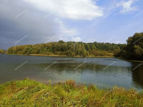 dom-selo-efimevo-bogorodskiy-municipalnyy-okrug фото