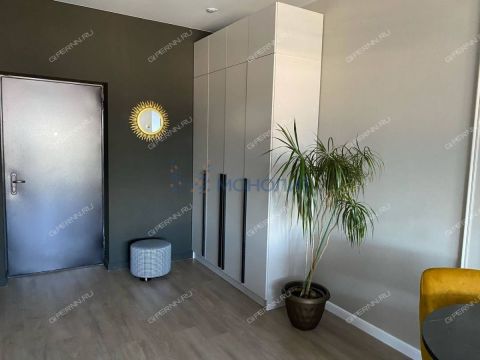 1-komnatnaya-pl-sennaya-d-1 фото