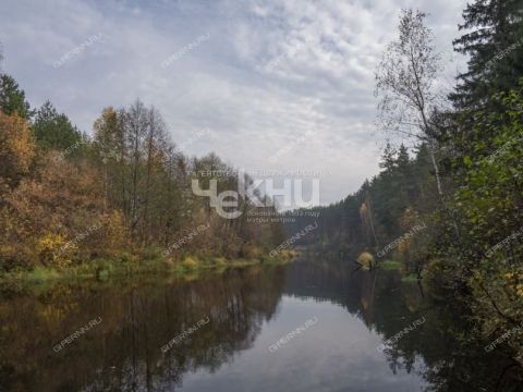 derevnya-zuevo-gorodskoy-okrug-bor фото