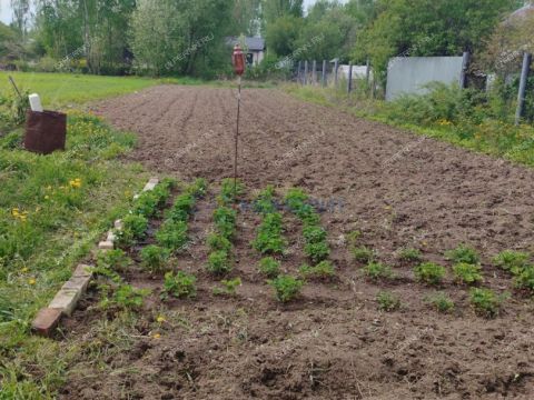 dom-derevnya-zolotovo-gorodskoy-okrug-bor фото