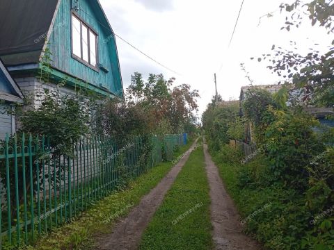 dacha-derevnya-rekshino-gorodskoy-okrug-bor фото