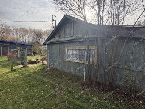 dacha-derevnya-rekshino-gorodskoy-okrug-bor фото