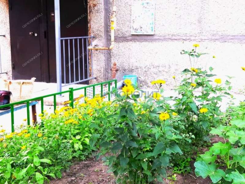 однокомнатная квартира на Административной улице дом 12 рабочий посёлок Гидроторф