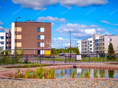 1-komnatnaya-poselok-parysheva-ul-zelenhozovskaya-1t фото