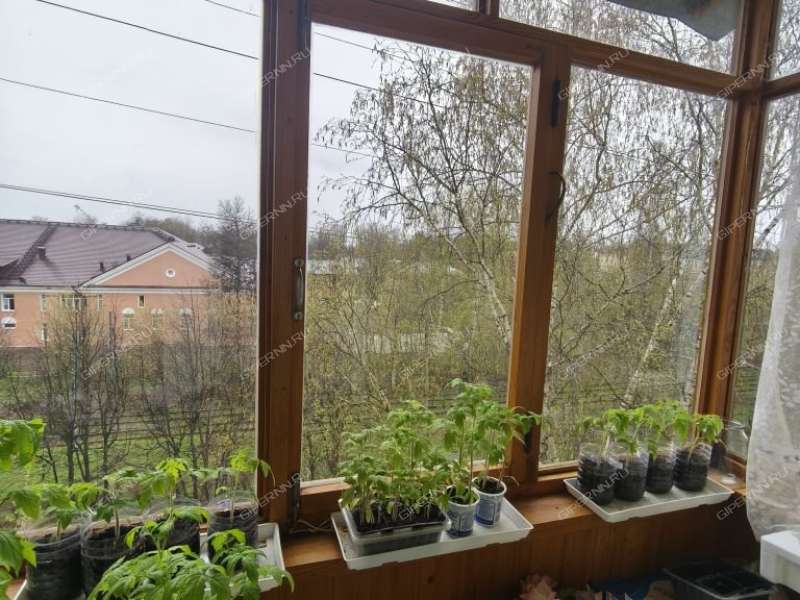 двухкомнатная квартира на Молодёжном проспекте дом 44А