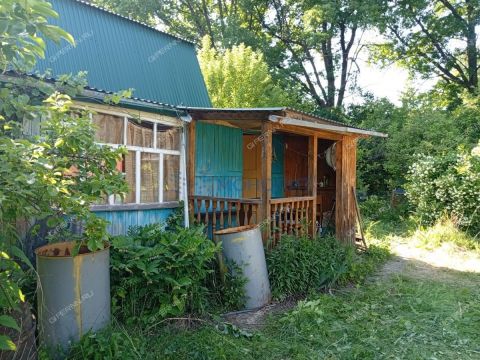 dacha фото