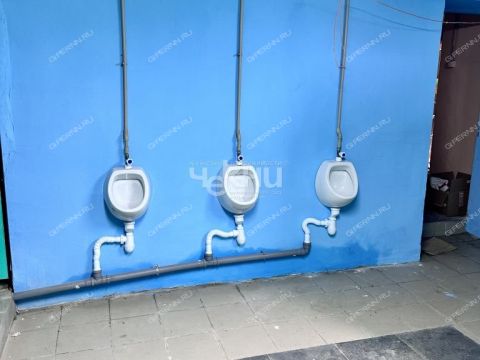 selo-smolki-gorodeckiy-rayon фото