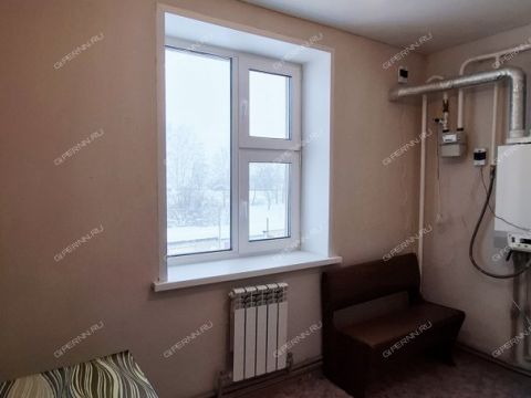 1-komnatnaya-selo-malaya-pica-dalnekonstantinovskiy-rayon фото