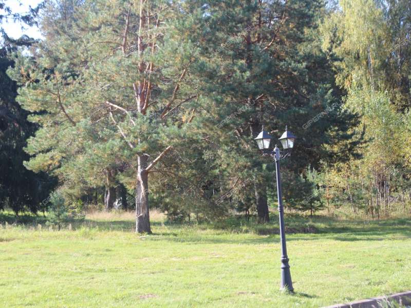 имущественный комплекс под недвижимость под гостиничный бизнес на  деревня Хмелевка