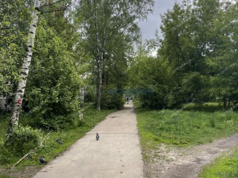 2-komnatnaya-ul-gaugelya-d-19 фото