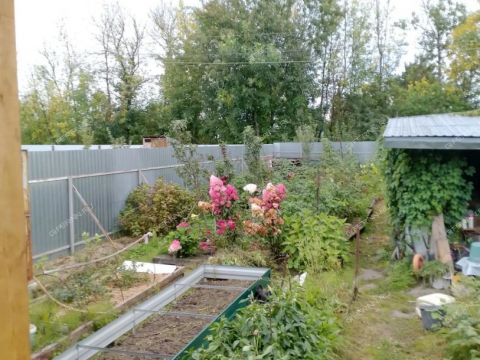 dacha-nst-stroygaz фото