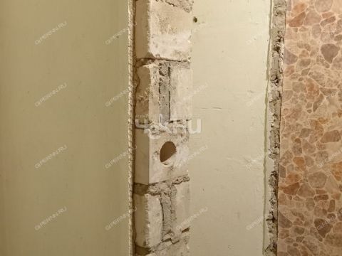 1-komnatnaya-gorod-zavolzhe-gorodeckiy-rayon фото