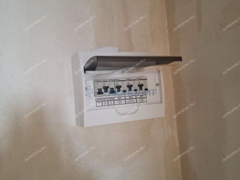 1-komnatnaya-derevnya-afonino-kstovskiy-rayon фото