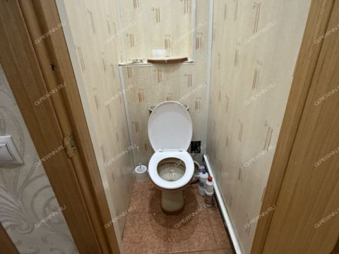 1-komnatnaya-derevnya-fedurino-gorodeckiy-rayon фото