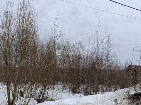 derevnya-afonino-kstovskiy-rayon фото