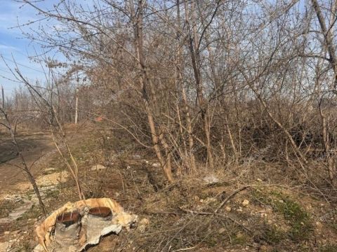 poselok-centralnyy-bogorodskiy-municipalnyy-okrug фото