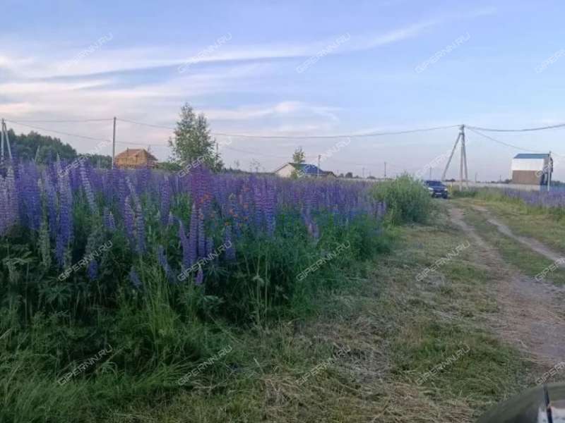 земельный участок 10 соток Сергеевская улица деревня Берёзовка
