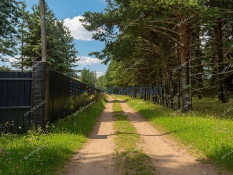 земельный участок под сельхоз назначение в Городецком районе Нижегородской области