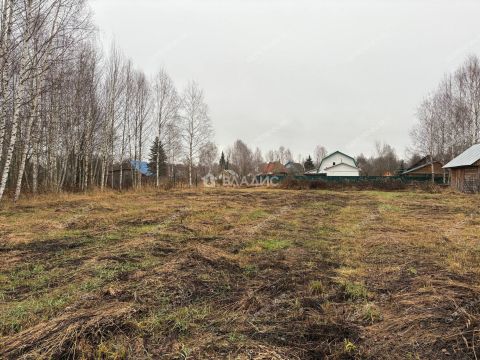 selo-gorodishhi-gorodskoy-okrug-bor фото