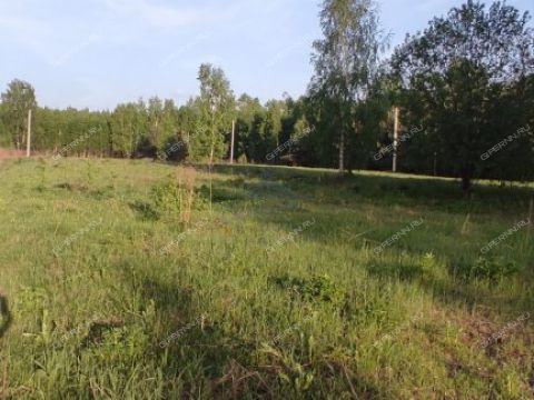 derevnya-mozgulino-gorodeckiy-rayon фото