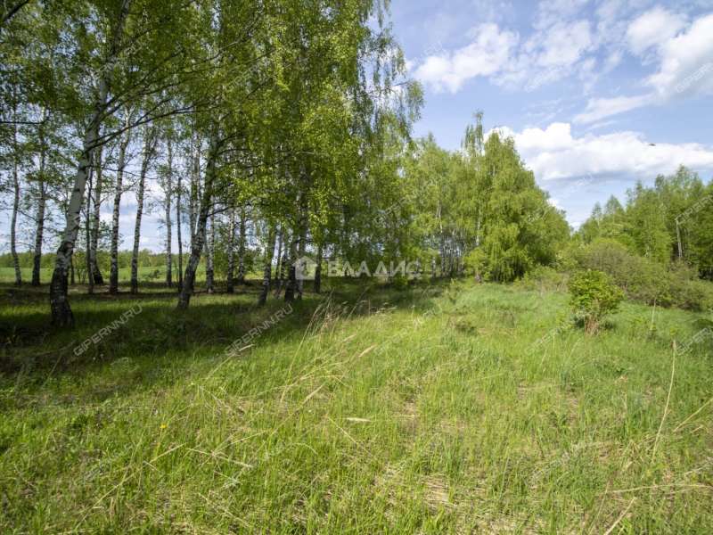 земельный участок 18 соток Овражная улица деревня Майдан