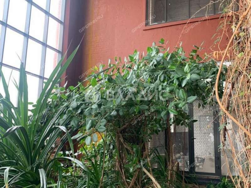 дом на Новой улице деревня Козловка, Ройкинский сельсовет