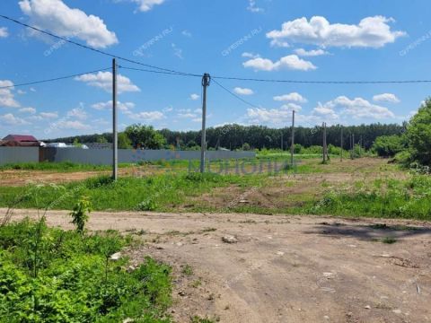 gorod-bogorodsk-bogorodskiy-municipalnyy-okrug фото