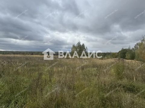 selo-afanasevo-bogorodskiy-municipalnyy-okrug фото