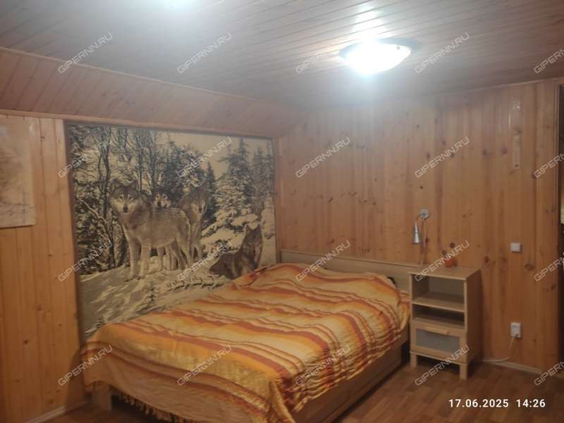 дом на Кирпичник деревня Афонино