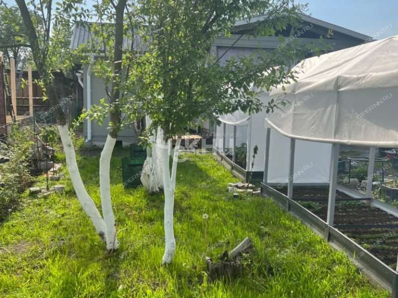 дача на Снт сад 4 Яблонька рабочий посёлок Горбатовка