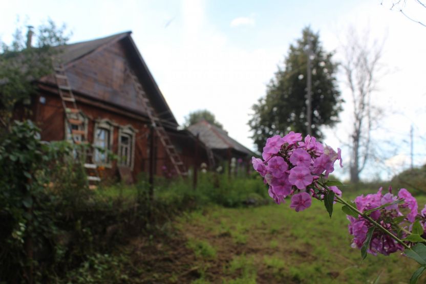 Фото: Ксения Ражева / gipernn.ru