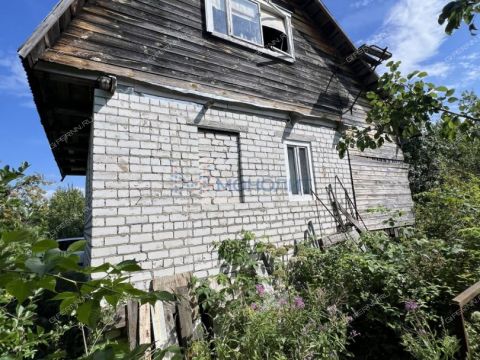 sad-derevnya-shoniha-bogorodskiy-municipalnyy-okrug фото