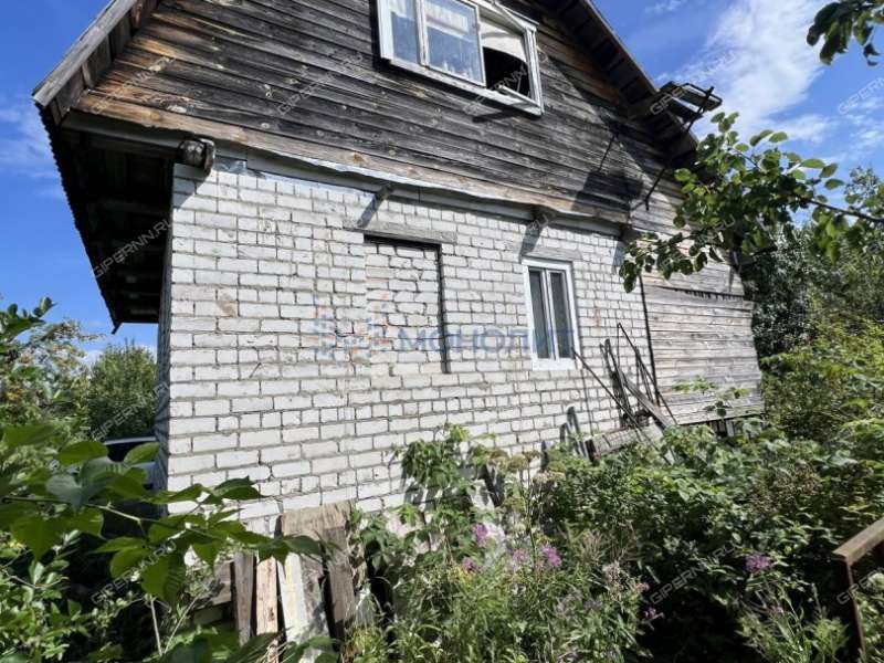 сад на - деревня Шониха