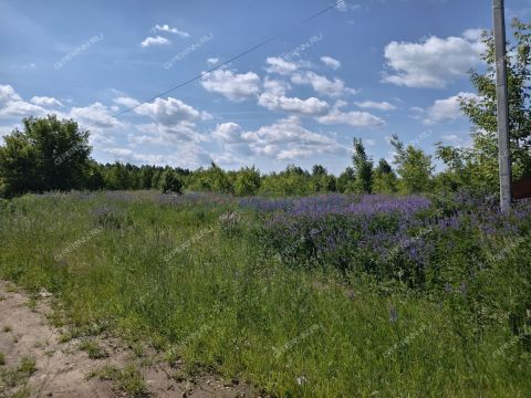 derevnya-shumilovo-bogorodskiy-municipalnyy-okrug фото