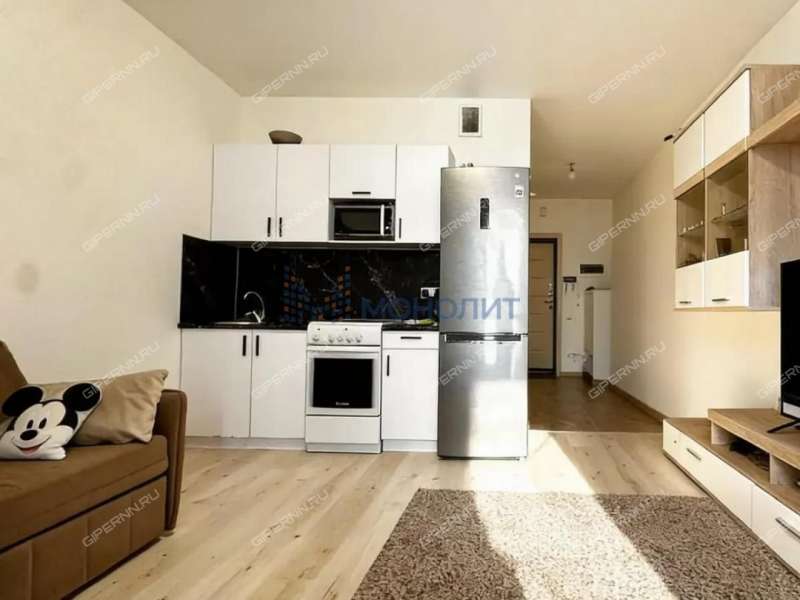 квартира-студия на Русской улице улице дом 17 деревня Анкудиновка