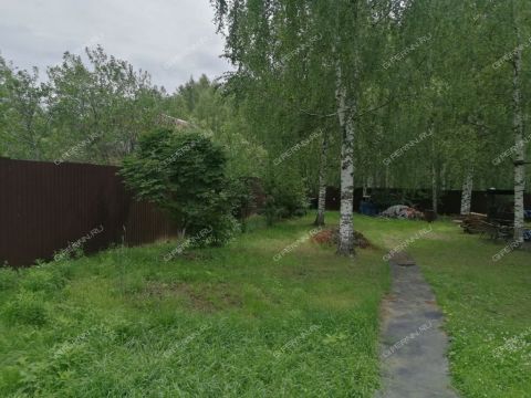 derevnya-lindo-pustyn-gorodskoy-okrug-bor фото