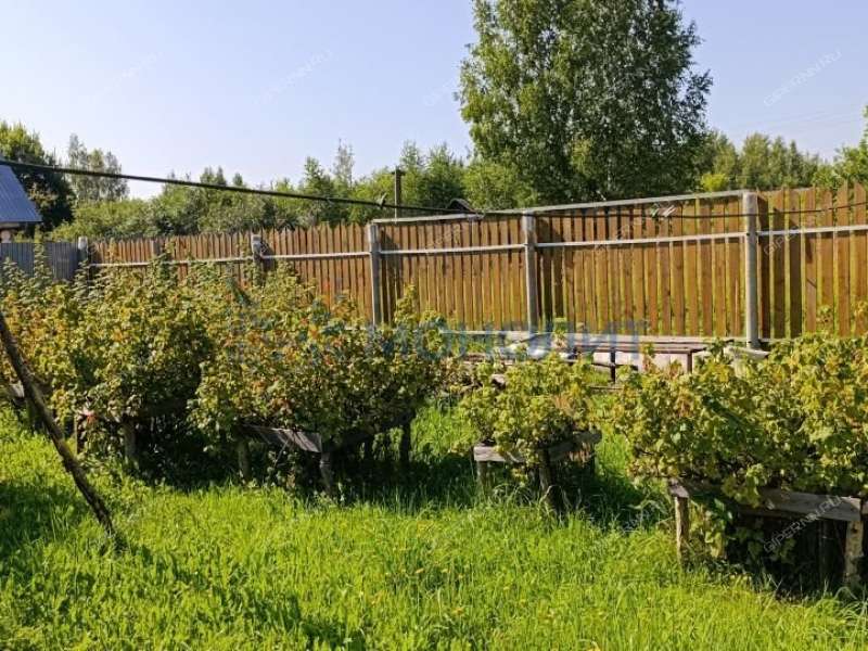 дом на улице Центральная деревня Винный Майдан