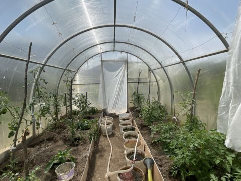 dacha-druzhba-86-snt-kstovskiy-rayon фото