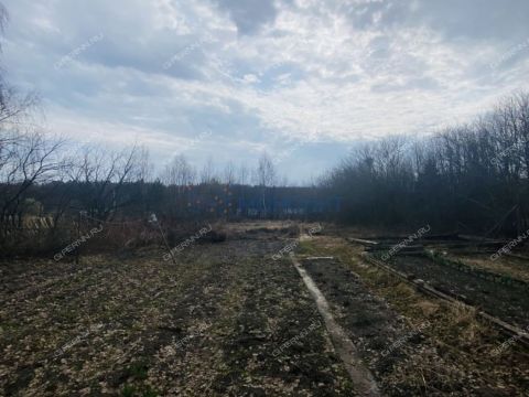 dom-derevnya-gridenino-balahninskiy-municipalnyy-okrug фото