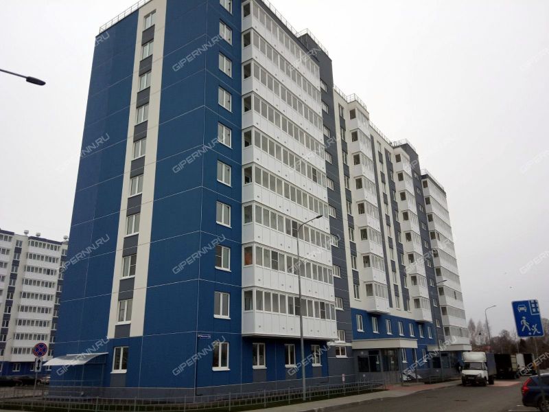 двухкомнатная квартира на улице Бориса Видяева дом 14