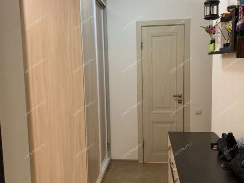 двухкомнатная квартира на Русской улице улице дом 9 деревня Анкудиновка