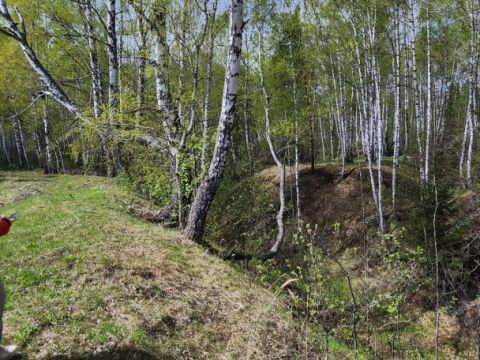 dom-selo-kamenka-vorotynskiy-gorodskoy-okrug фото
