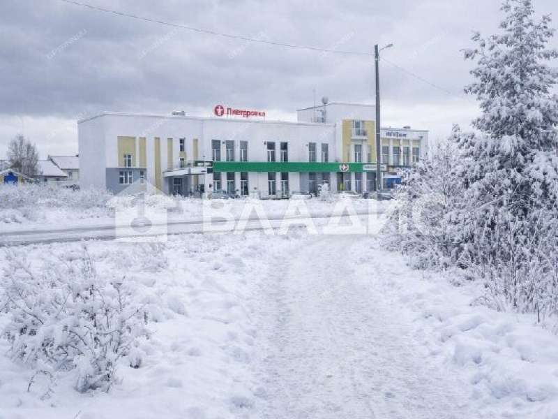 земельный участок 7,29 сотки улица Саврасова село Каменки