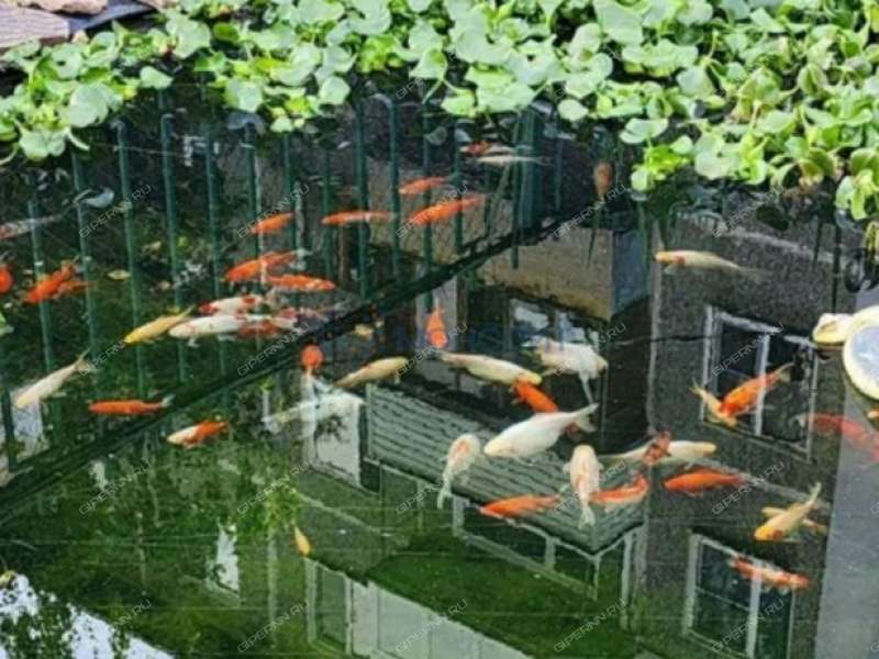 однокомнатная квартира на Южном шоссе дом 38А