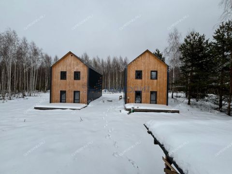 dom-derevnya-berezovka-bogorodskiy-municipalnyy-okrug фото