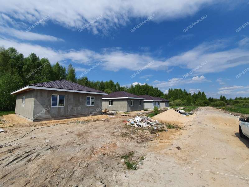 дом на Героя Демина ул. деревня Пруды