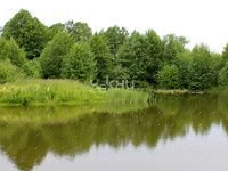 земельный участок 10 соток Полевая село Арманиха