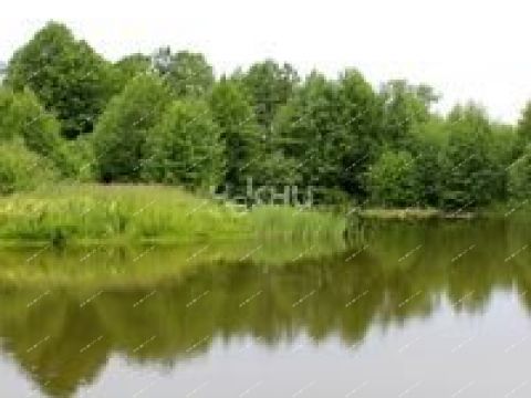 selo-armaniha-dalnekonstantinovskiy-rayon фото